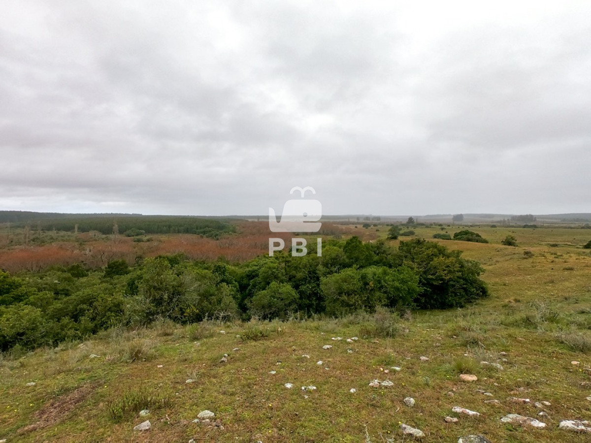 Pueblo Eden - GoPunta - Portal Inmobiliario de Punta del Este - Maldonado