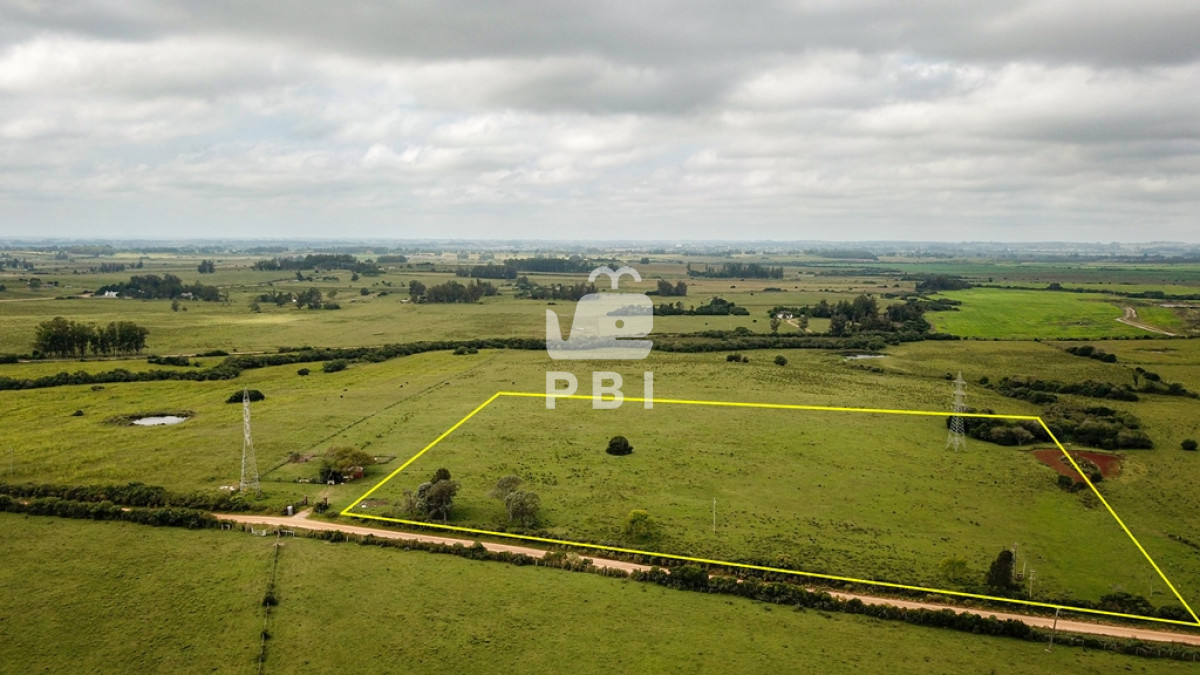 La Pataia - GoPunta - Portal Inmobiliario de Punta del Este - Maldonado