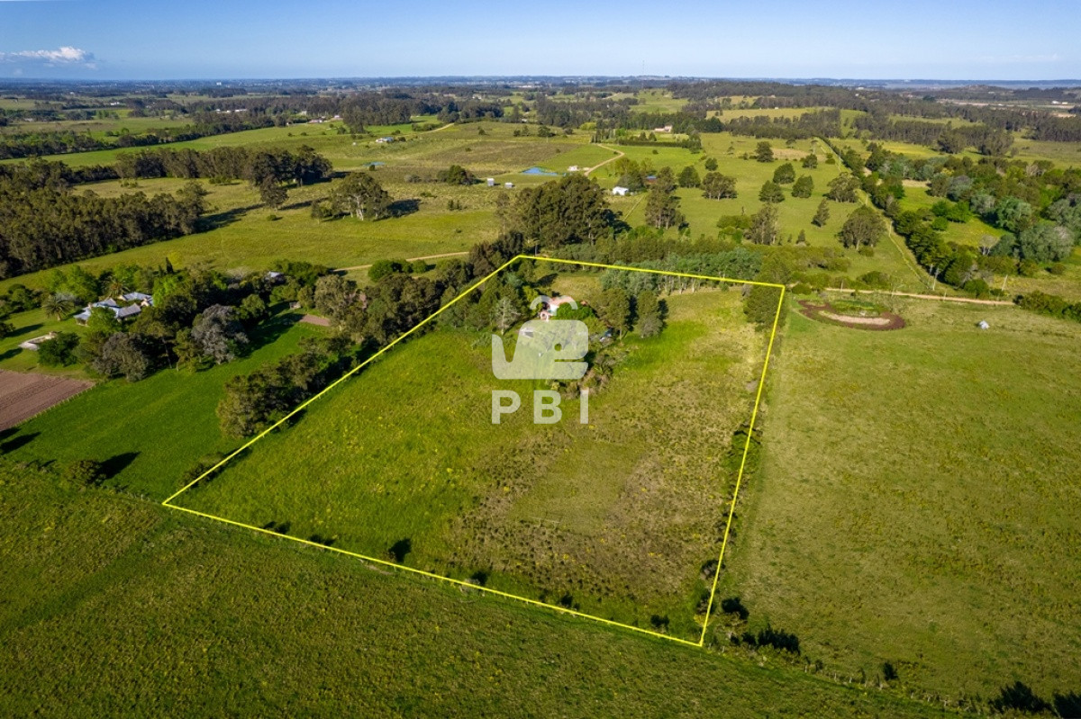 La Pataia - GoPunta - Portal Inmobiliario de Punta del Este - Maldonado