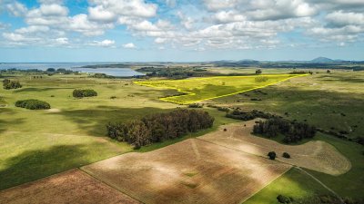 Venta de Chacra en Laguna del Sauce, Punta del Este - Ref : PBI2133