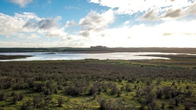 Venta de Chacra en Laguna del Sauce, Punta del Este - Ref : PBI3127