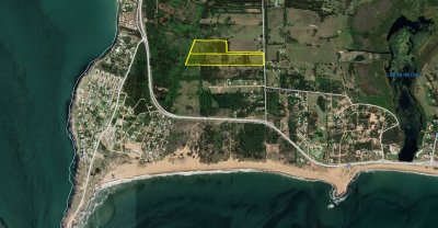 Venta de Chacra en Punta Ballena, Maldonado - Ref : PBI2119