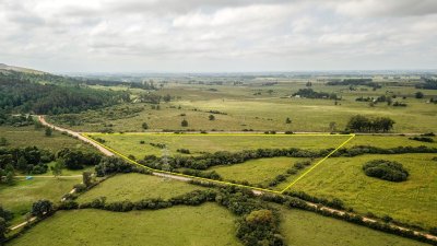 Venta de Chacra en La Pataia, Punta Ballena - Ref : PBI2136