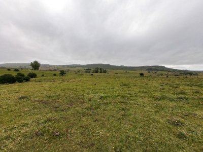 Venta de Chacra en Pueblo Edén, Maldonado - Ref : PBI2284