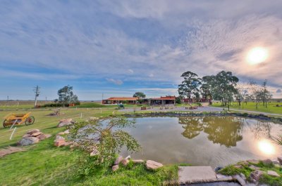 Chacra en venta Punta Ballena 6 dormitorios - Ref : PBI1741