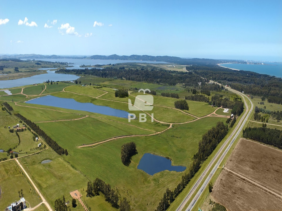 Laguna de los Cisnes - GoPunta - Portal Inmobiliario de Punta del Este - Maldonado
