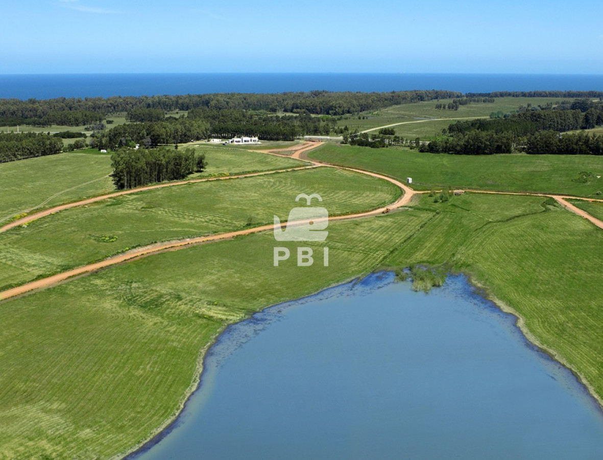 Laguna de los Cisnes - GoPunta - Portal Inmobiliario de Punta del Este - Maldonado