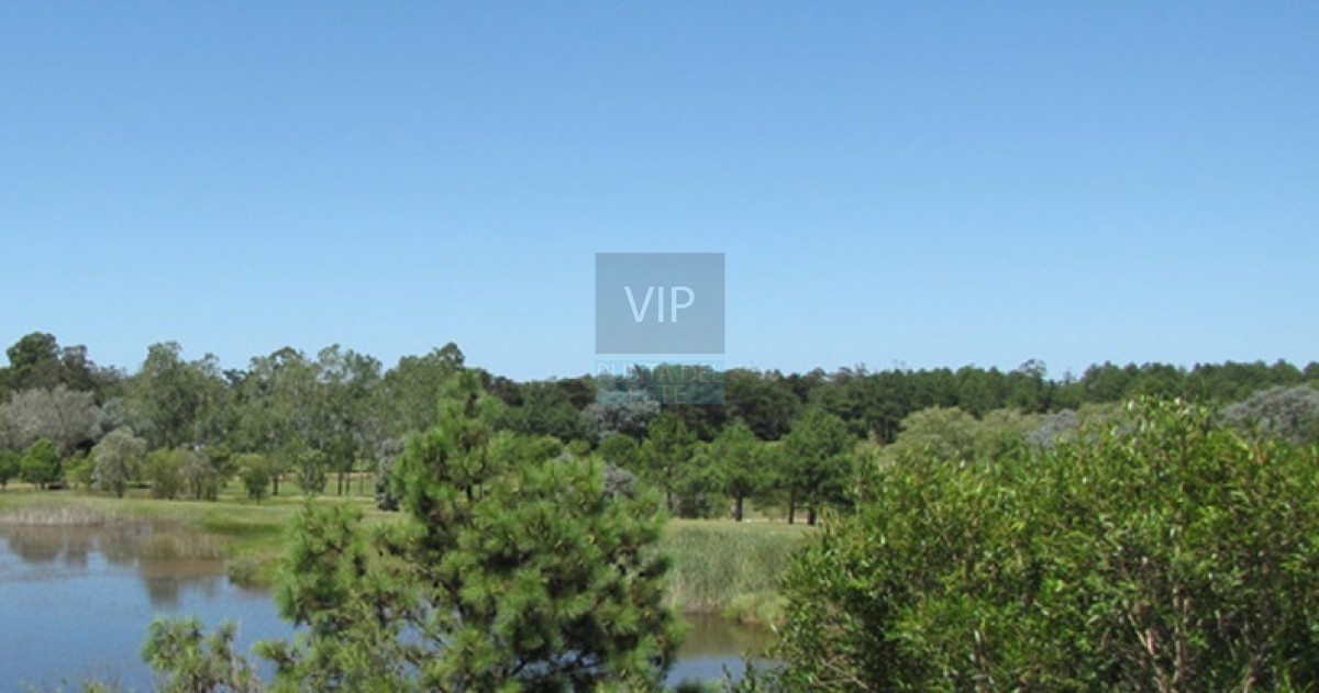 Propiedad - GoPunta - Portal Inmobiliario de Punta del Este - Maldonado