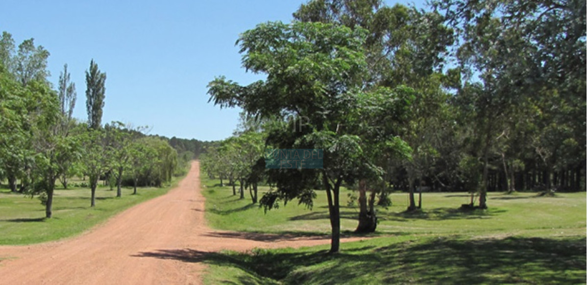 Propiedad - GoPunta - Portal Inmobiliario de Punta del Este - Maldonado