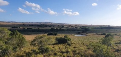 GARZON CAMPO DE 38 HECTAREAS CON CASA 
