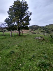 Vendo excelente chacra de 39 hectáreas para granja turística o tambo, Aigua, Punta del Este