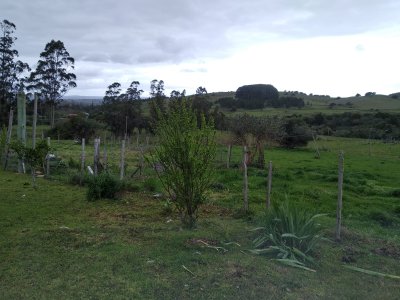 Vendo excelente chacra de 39 hectáreas para granja turística o tambo, Aigua, Punta del Este