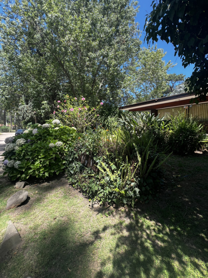 EN EL HERMOSO ENTORNO DE PLAYA MANSA