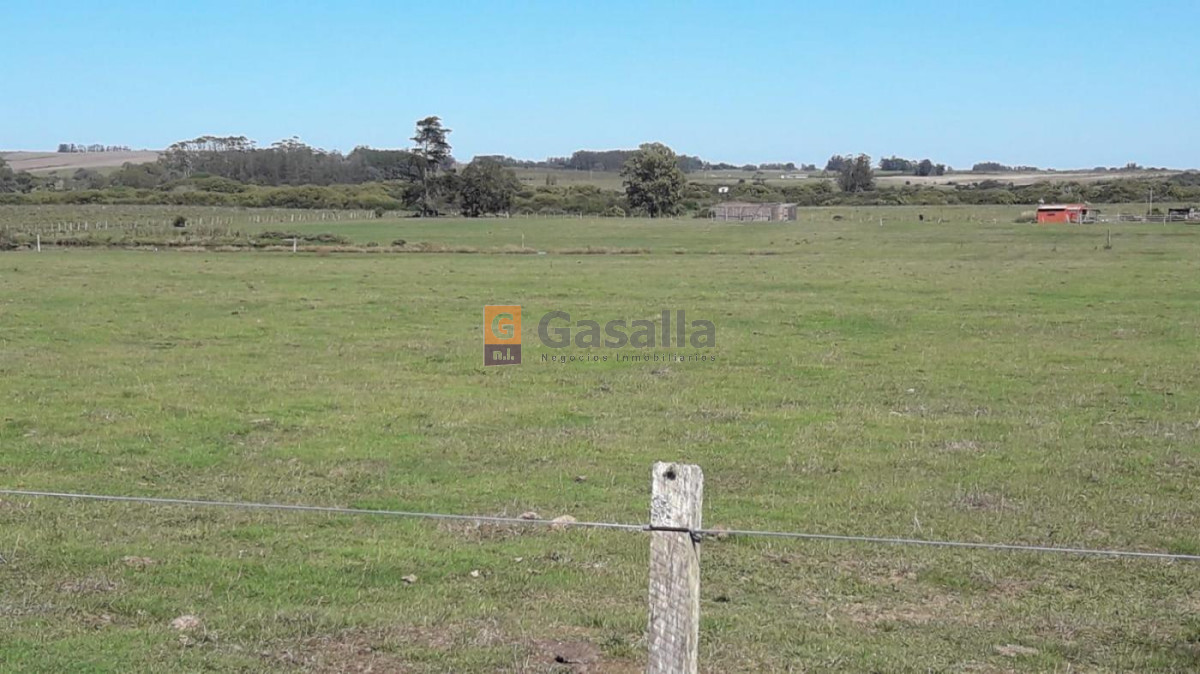 José Ignacio - GoPunta - Portal Inmobiliario de Punta del Este - Maldonado