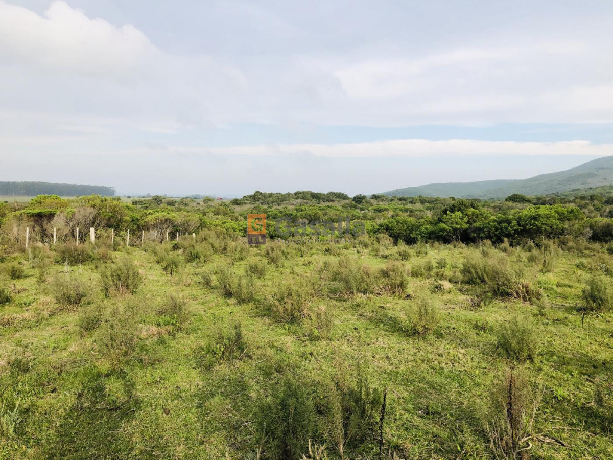 Ruta 60 - GoPunta - Portal Inmobiliario de Punta del Este - Maldonado
