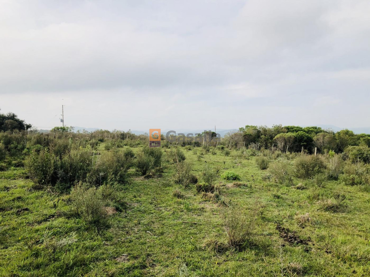 Ruta 60 - GoPunta - Portal Inmobiliario de Punta del Este - Maldonado