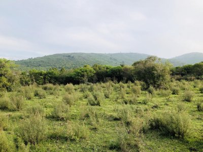 Chacra de 5 has, dentro de emprendimiento de chacras rurales " Piedras de las Animas" - Pan de Azucar