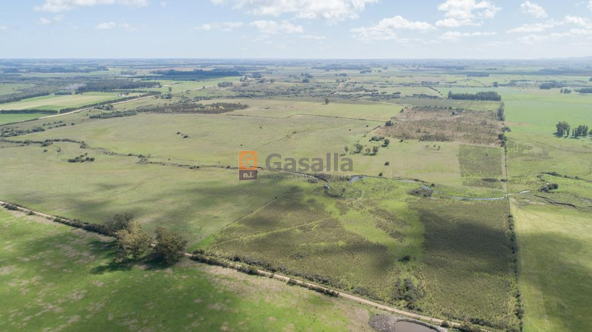 Campo en Venta   Gregorio Aznárez!!! - GoPunta - Portal Inmobiliario de Punta del Este - Maldonado