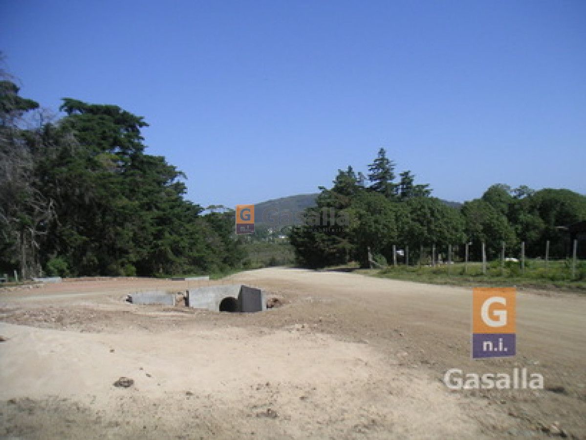 Chacra en venta   Ideal para Inversión - GoPunta - Portal Inmobiliario de Punta del Este - Maldonado