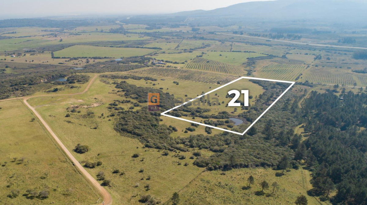 Chacra de 5 Has. en venta   
