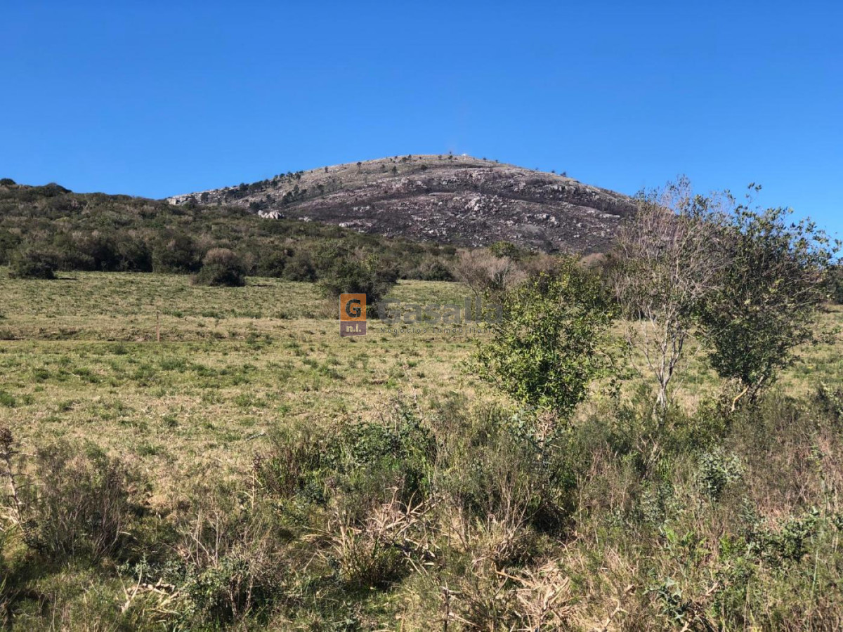 Chacra del Cerro N   31   Ruta 73 - GoPunta - Portal Inmobiliario de Punta del Este - Maldonado