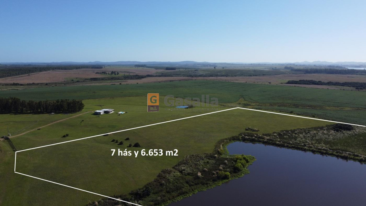 Chacra en venta   Laguna del Sauce - GoPunta - Portal Inmobiliario de Punta del Este - Maldonado