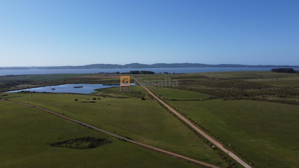Chacra en venta   Laguna del Sauce - GoPunta - Portal Inmobiliario de Punta del Este - Maldonado