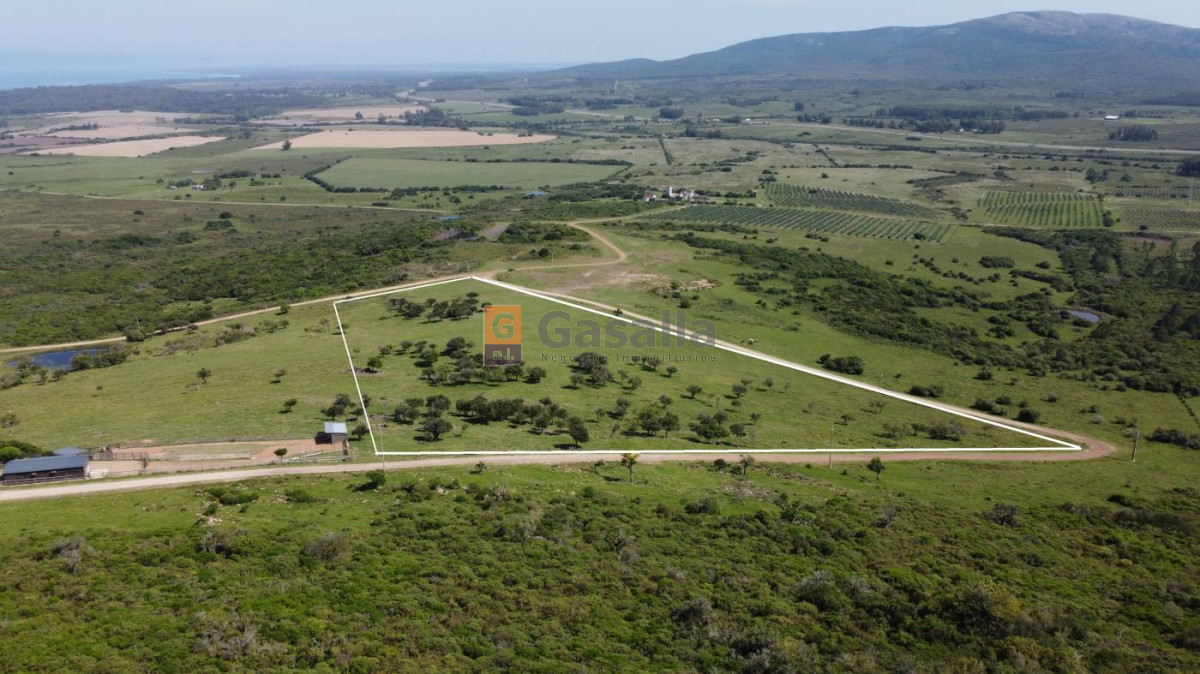 Chacra de 5 Has. en venta   Pan de Azúcar - GoPunta - Portal Inmobiliario de Punta del Este - Maldonado