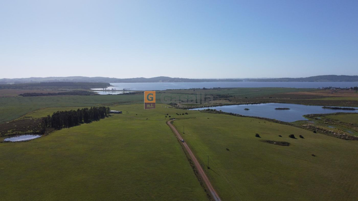 Chacra en venta   Laguna del Sauce - GoPunta - Portal Inmobiliario de Punta del Este - Maldonado