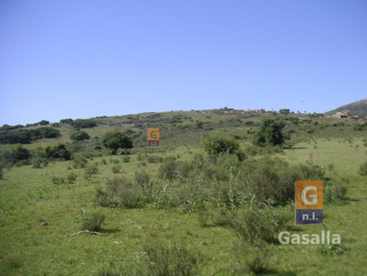 Chacra en venta   Ideal para Inversión - GoPunta - Portal Inmobiliario de Punta del Este - Maldonado