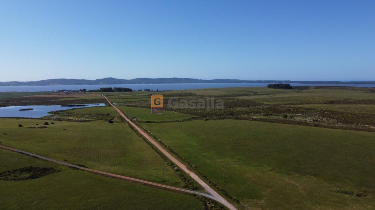 Chacra en venta   Laguna del Sauce - GoPunta - Portal Inmobiliario de Punta del Este - Maldonado