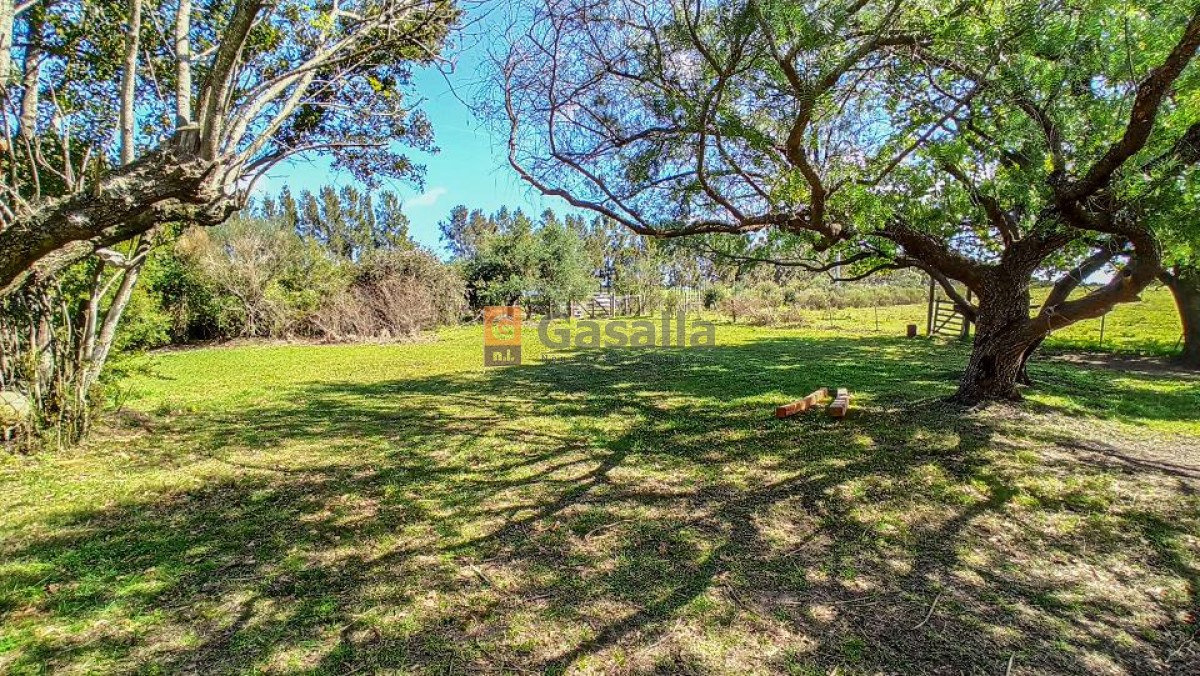 Campo en Venta   Gregorio Aznárez!!! - GoPunta - Portal Inmobiliario de Punta del Este - Maldonado