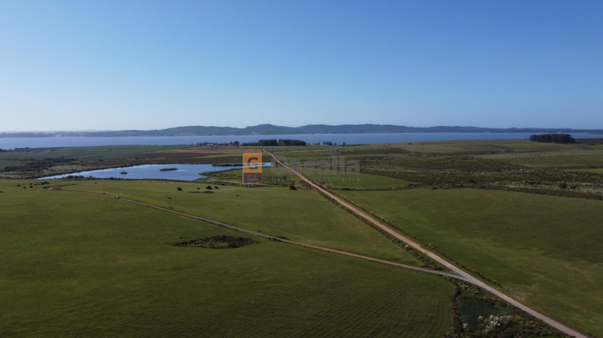 Chacra en venta   Laguna del Sauce - GoPunta - Portal Inmobiliario de Punta del Este - Maldonado