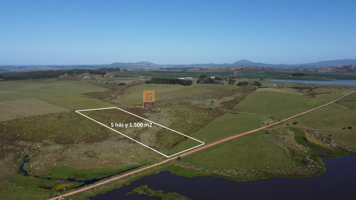 Chacra en venta   Laguna del Sauce - GoPunta - Portal Inmobiliario de Punta del Este - Maldonado