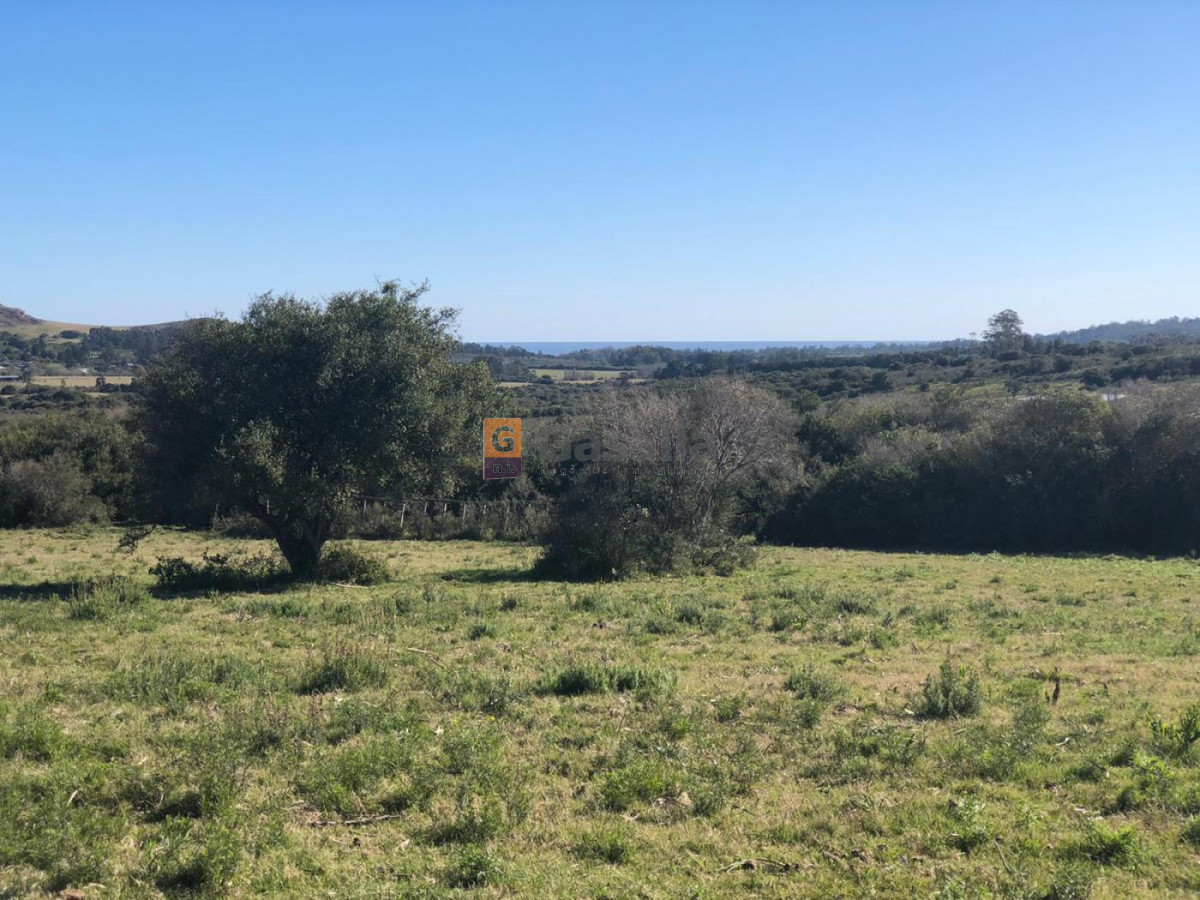 Chacra del Cerro N   31   Ruta 73 - GoPunta - Portal Inmobiliario de Punta del Este - Maldonado