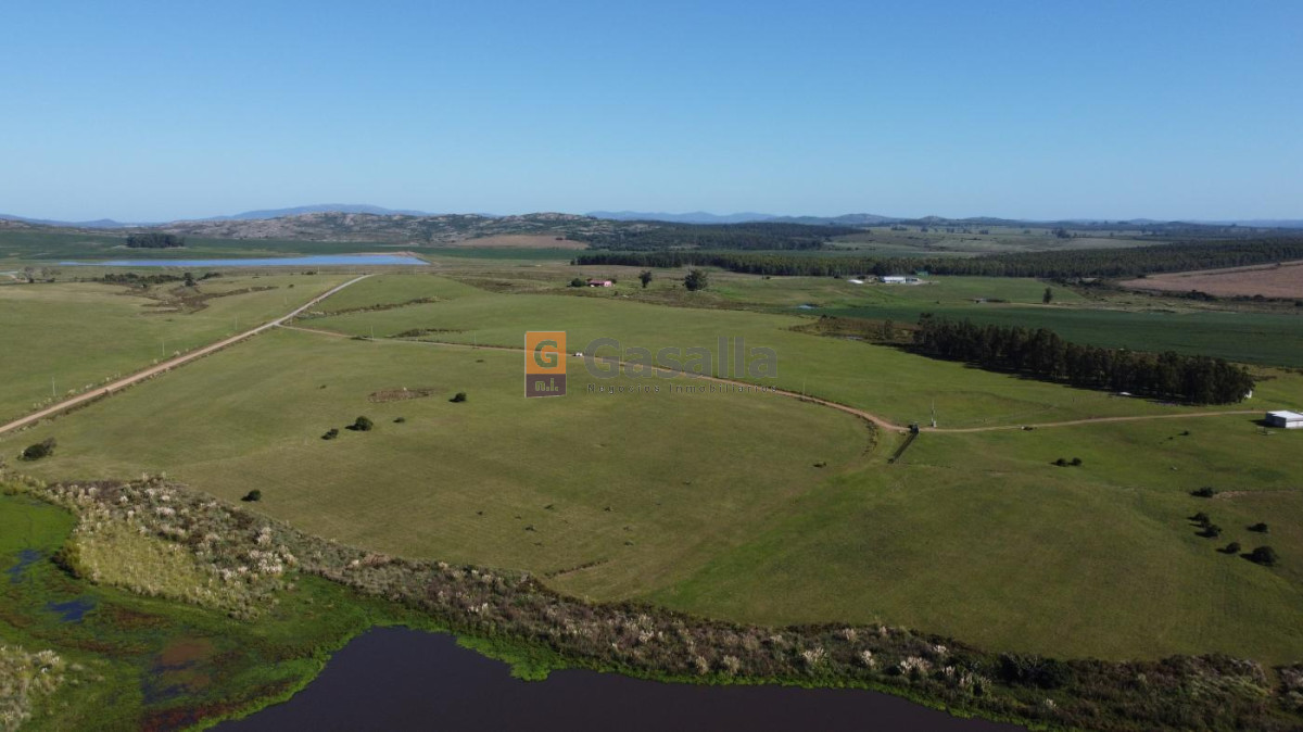 Chacra en venta   Laguna del Sauce - GoPunta - Portal Inmobiliario de Punta del Este - Maldonado