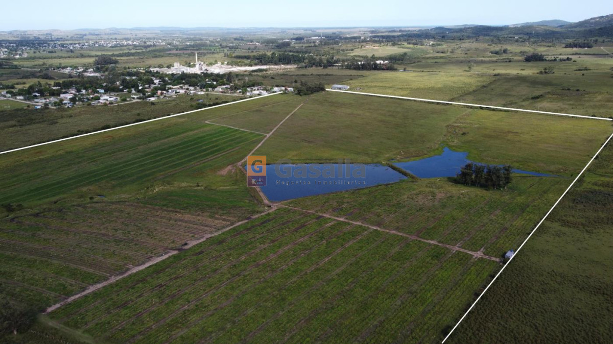 Fracción de 32 has en Pan de Azúcar - GoPunta - Portal Inmobiliario de Punta del Este - Maldonado