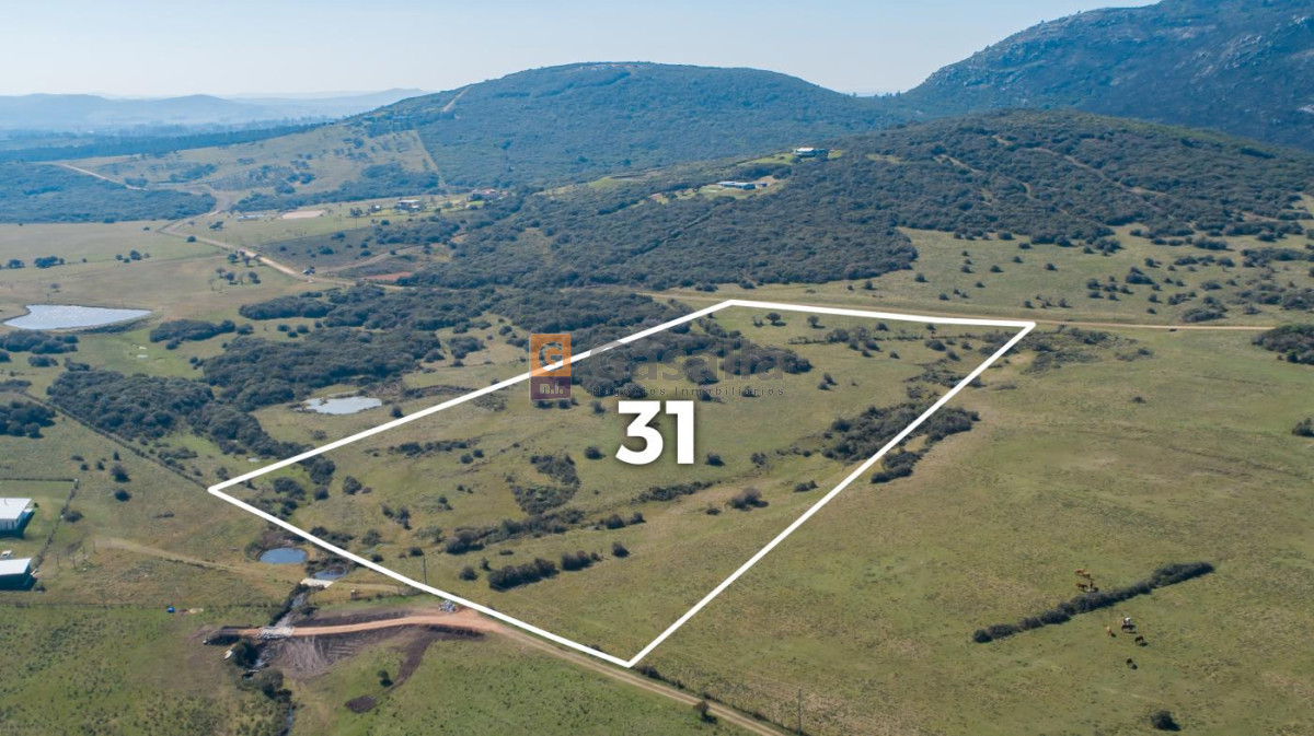 Chacra del Cerro N   31   Ruta 73 - GoPunta - Portal Inmobiliario de Punta del Este - Maldonado