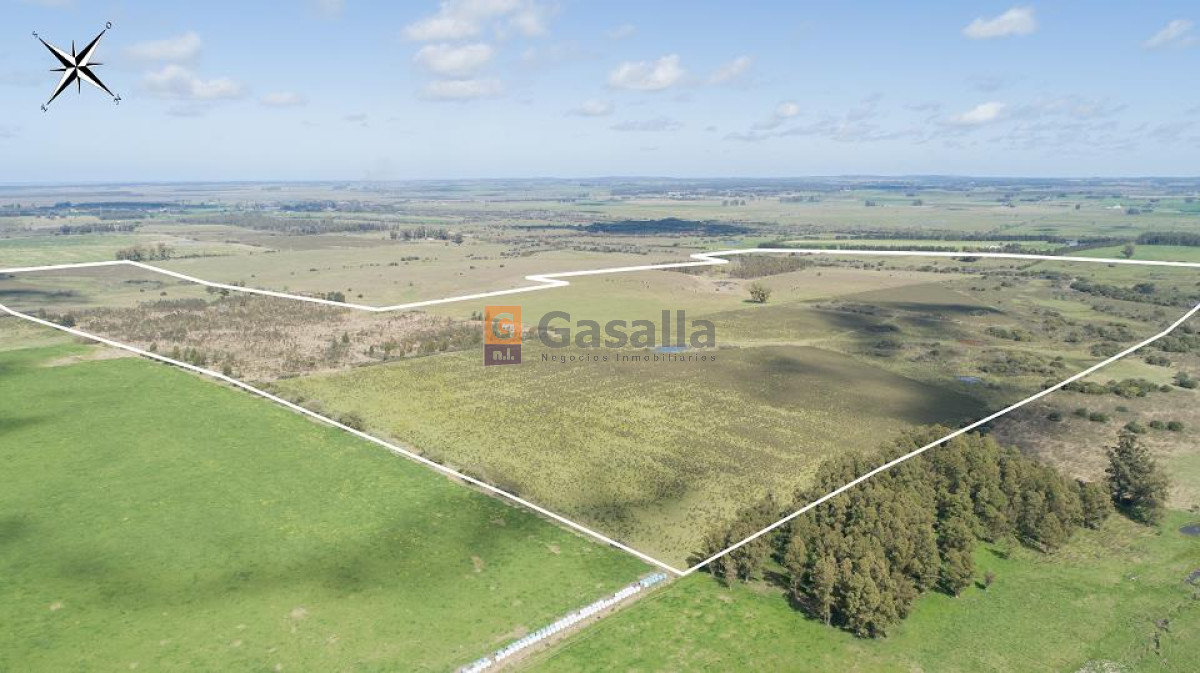 Campo en Venta   Gregorio Aznárez!!! - GoPunta - Portal Inmobiliario de Punta del Este - Maldonado