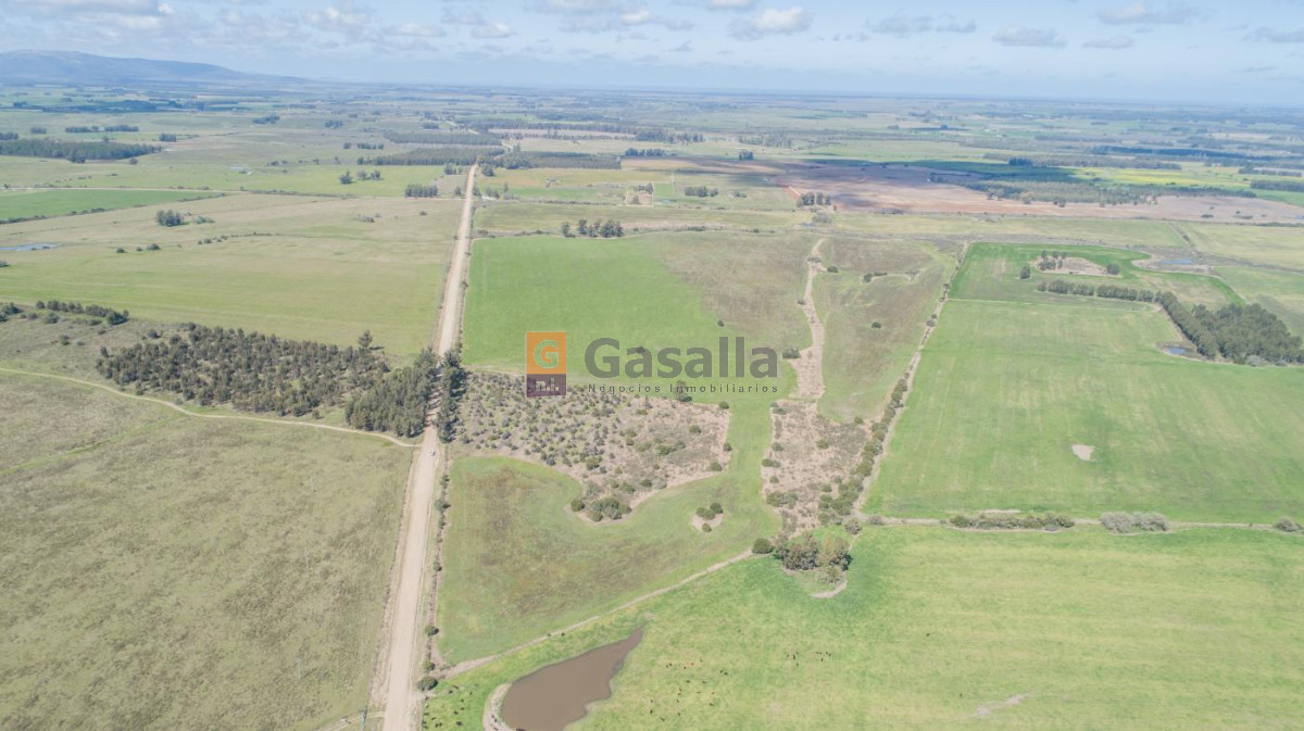 Campo 5 has. Solís Grande - GoPunta - Portal Inmobiliario de Punta del Este - Maldonado