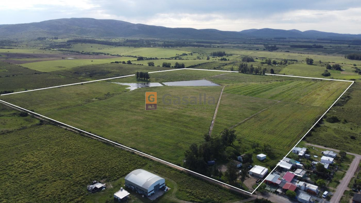 Fracción de 32 has en Pan de Azúcar - GoPunta - Portal Inmobiliario de Punta del Este - Maldonado