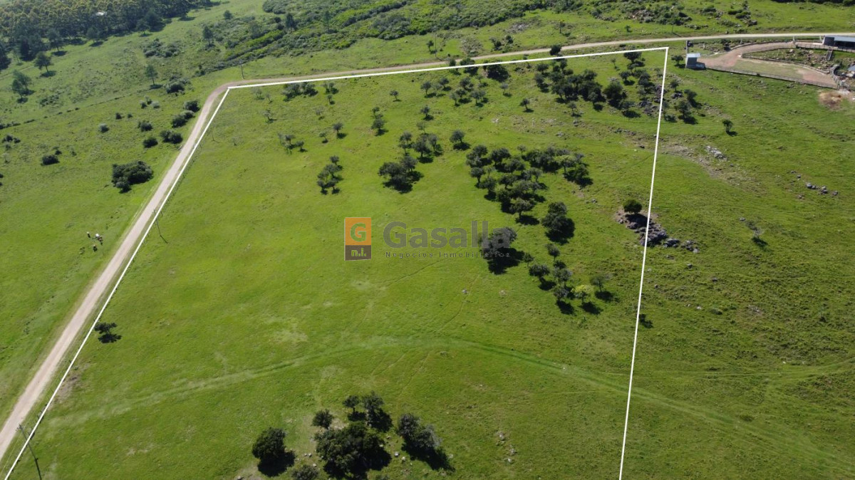 Chacra de 5 Has. en venta   Pan de Azúcar - GoPunta - Portal Inmobiliario de Punta del Este - Maldonado