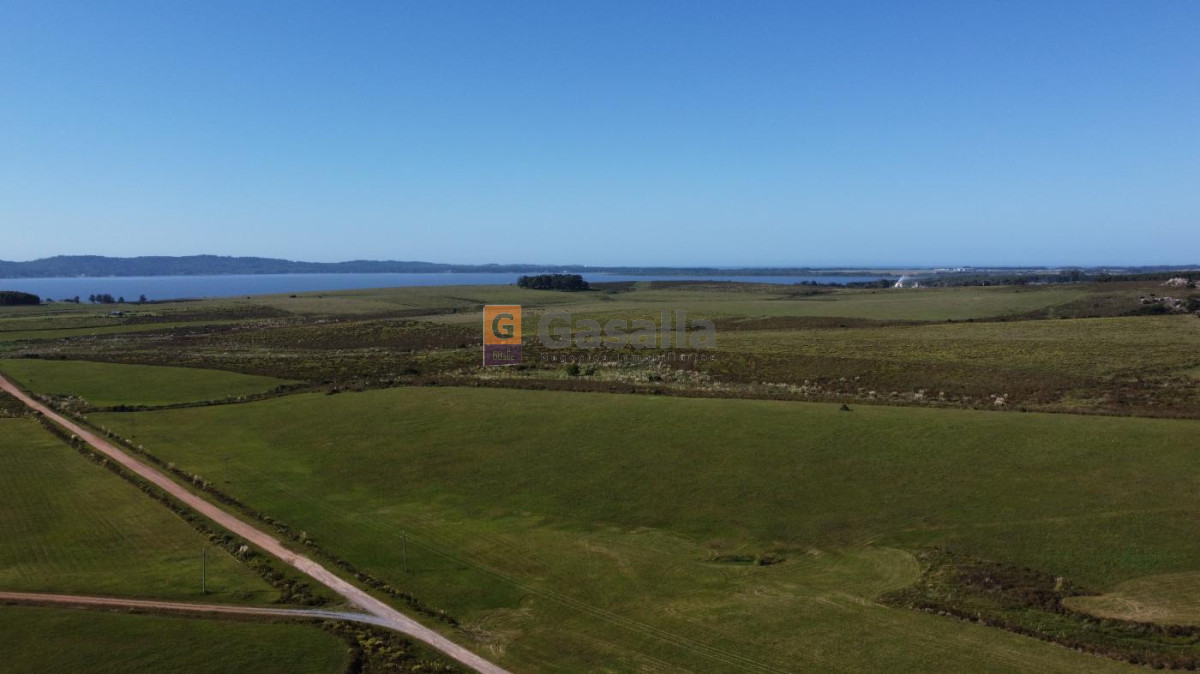 Chacra en venta   Laguna del Sauce - GoPunta - Portal Inmobiliario de Punta del Este - Maldonado