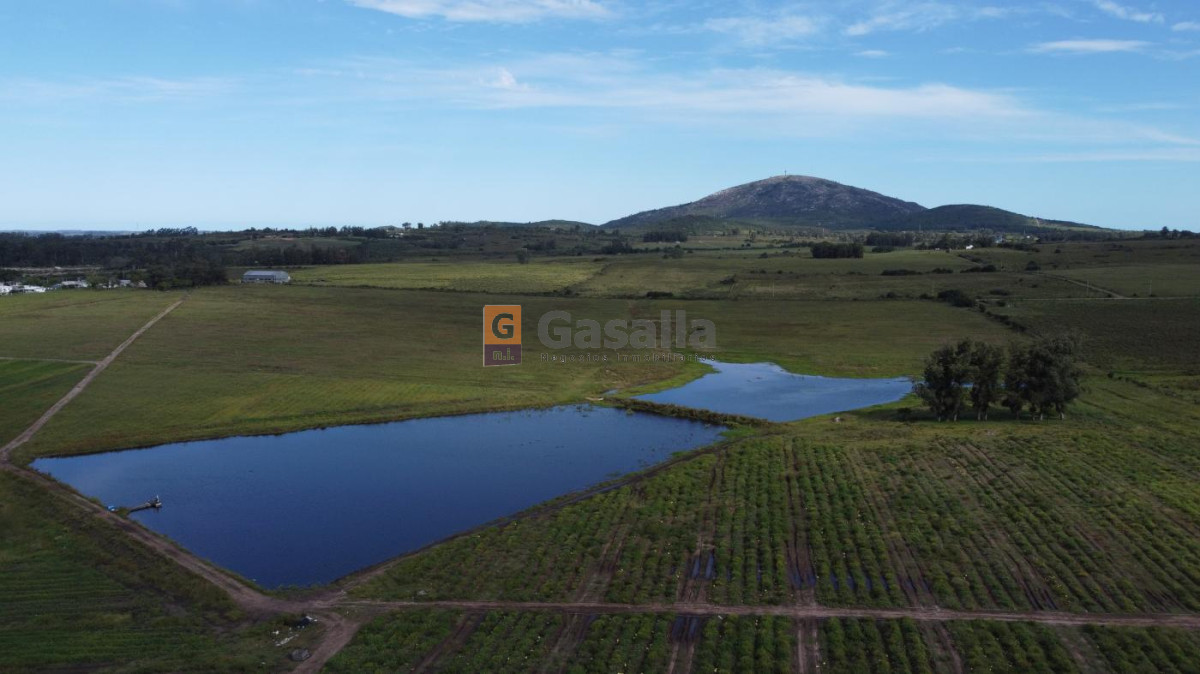 Fracción de 32 has en Pan de Azúcar - GoPunta - Portal Inmobiliario de Punta del Este - Maldonado
