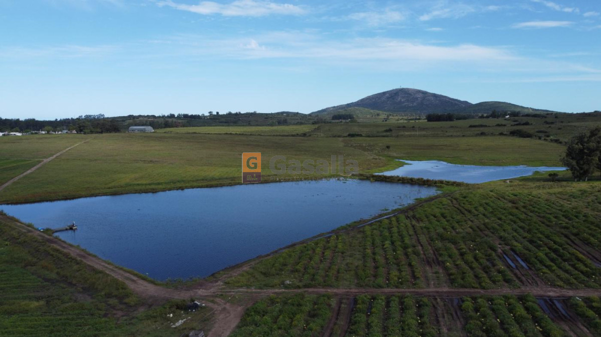 Fracción de 32 has en Pan de Azúcar - GoPunta - Portal Inmobiliario de Punta del Este - Maldonado