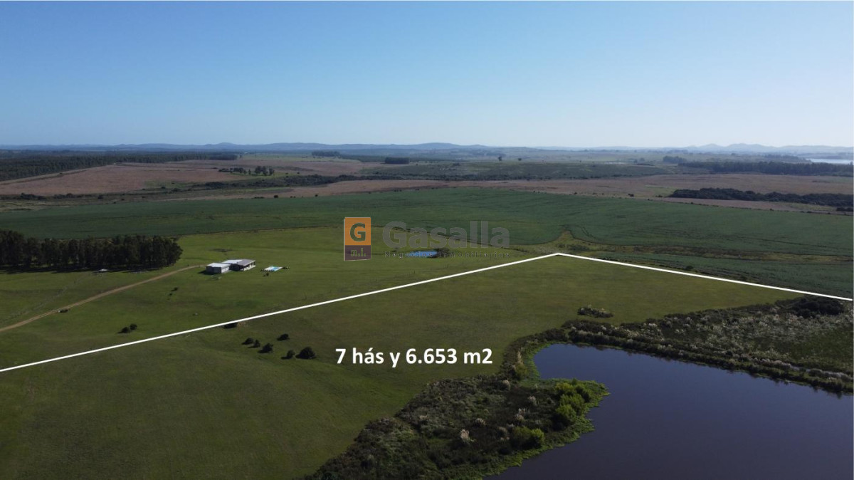 Chacra en venta   Laguna del Sauce - GoPunta - Portal Inmobiliario de Punta del Este - Maldonado