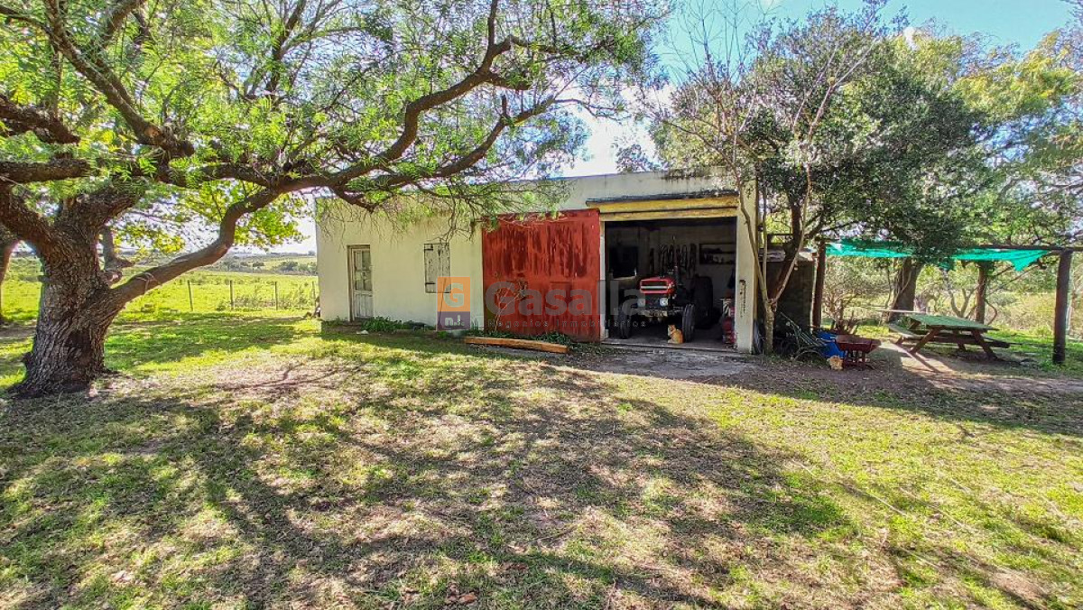 Campo en Venta   Gregorio Aznárez!!! - GoPunta - Portal Inmobiliario de Punta del Este - Maldonado