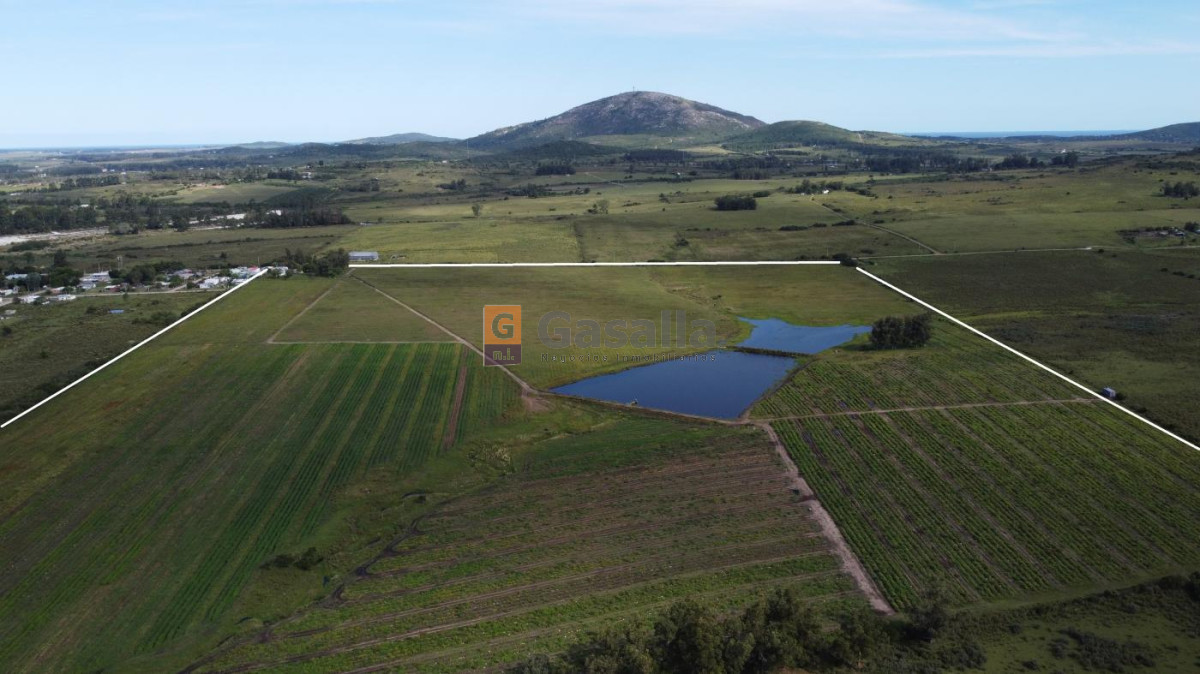 Fracción de 32 has en Pan de Azúcar - GoPunta - Portal Inmobiliario de Punta del Este - Maldonado