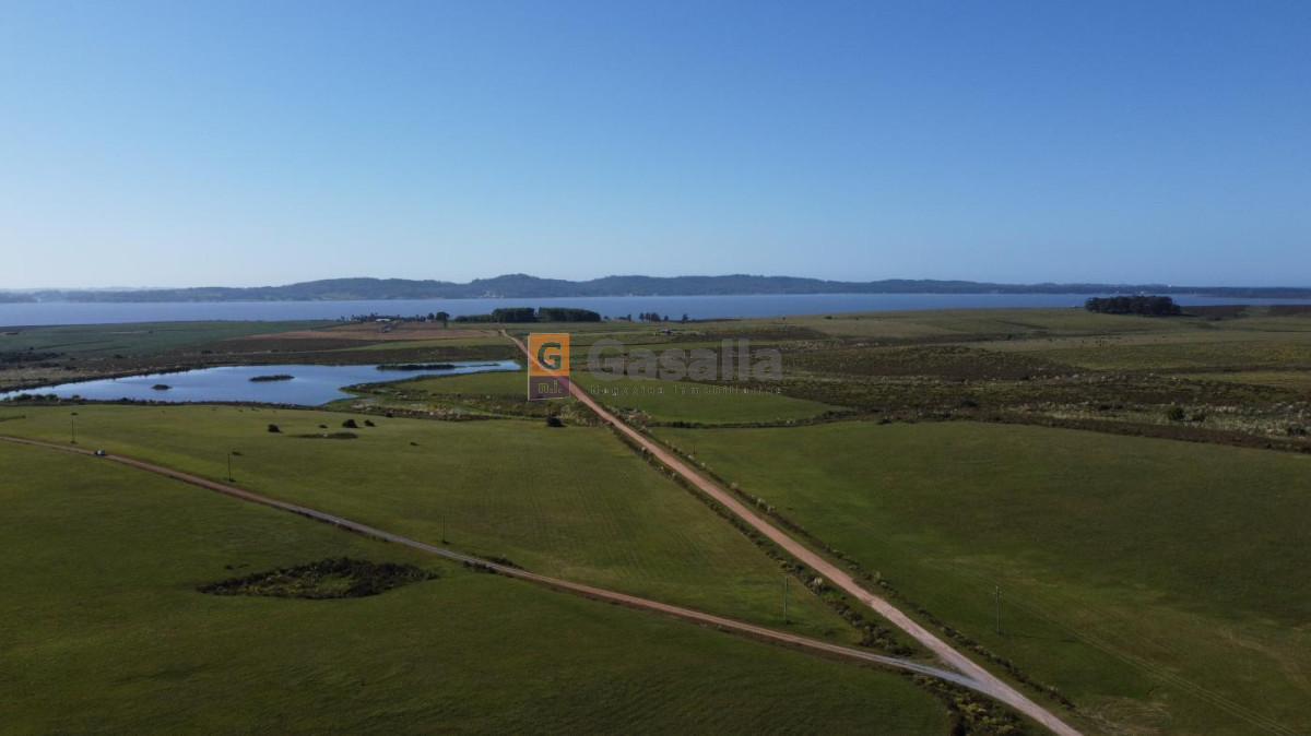 Chacra en venta   Laguna del Sauce - GoPunta - Portal Inmobiliario de Punta del Este - Maldonado