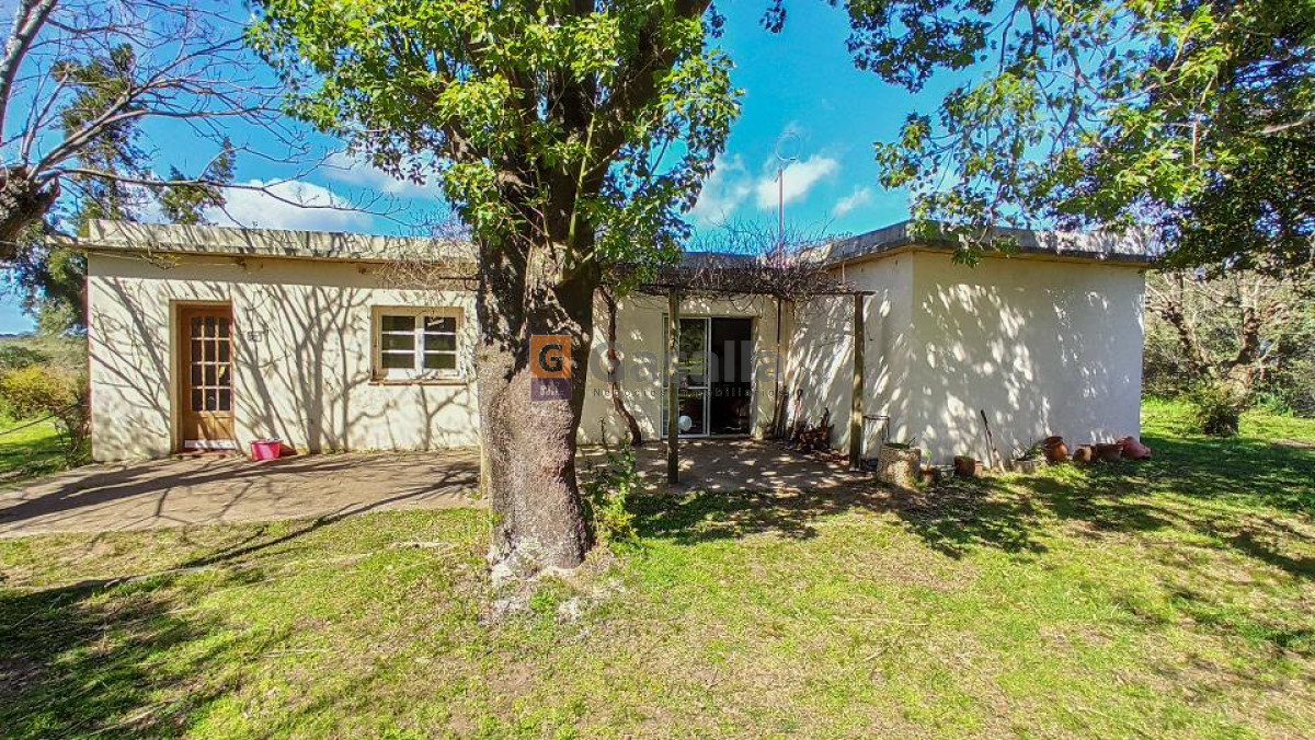 Campo en Venta   Gregorio Aznárez!!! - GoPunta - Portal Inmobiliario de Punta del Este - Maldonado